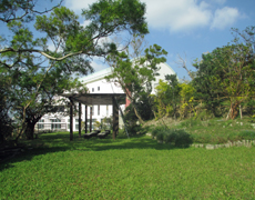 garden01