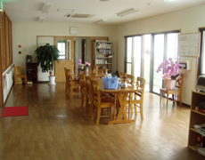 sono01