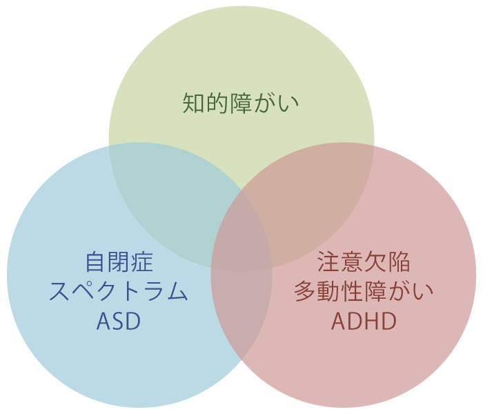 知的障がい・自閉症スペクトラムASD・注意欠陥多動性障がいADHD